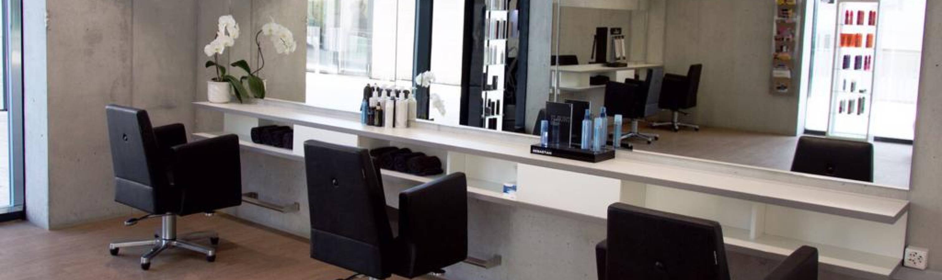 Bassotto Peinture_coiffeur