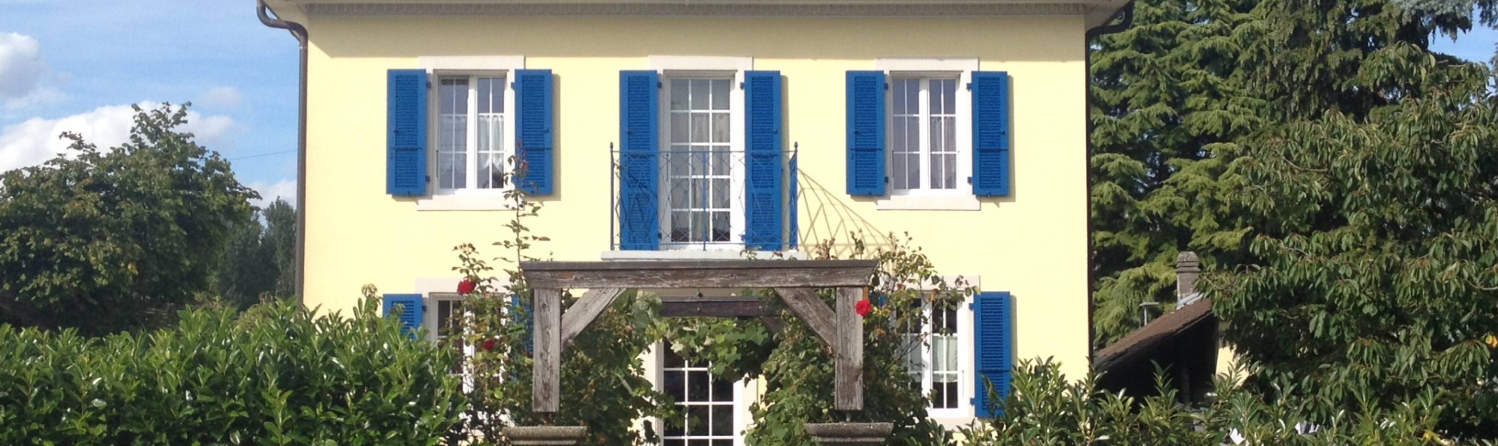 FTX Sàrl_fenêtres_bois_bleu